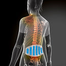 COUSSINS CHAUD/ FROID REUTILISABLES - Lombaires