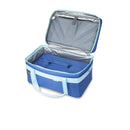 Mini Cool-Sac de transport de prélèvements